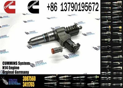 Injetor diesel N14 3087560